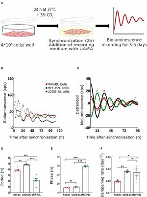 Modulation of Cellular Circadian Rhythms by Secondary Metabolites of Lichens